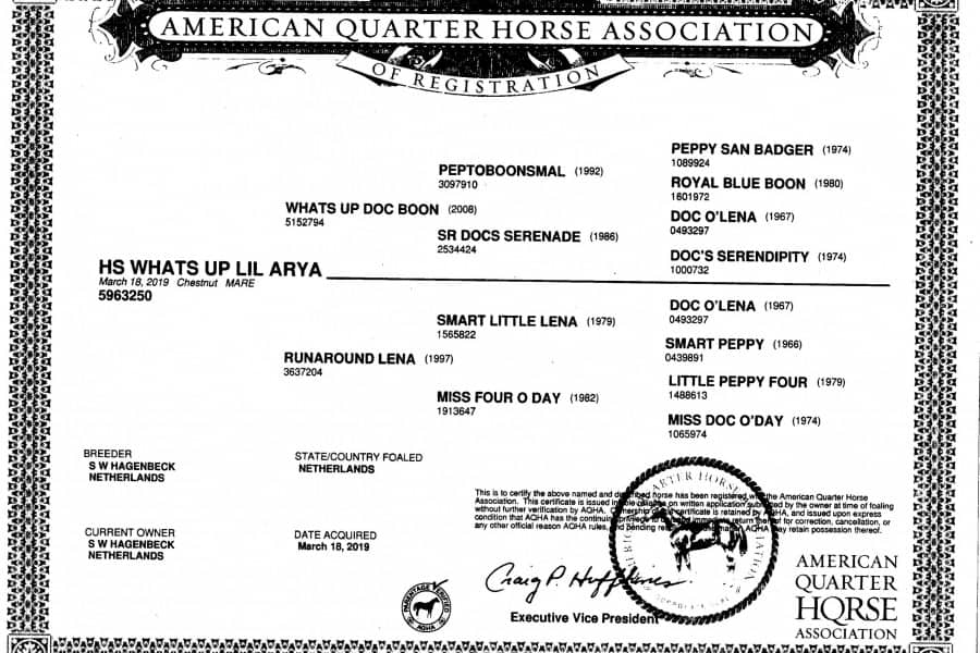 Verkoop Quarter Horses Hagenbeck Stables